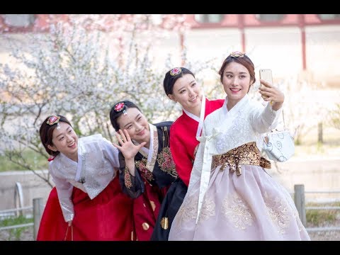 Spring Korea, Thai and Koreans