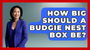 How Big Should A Budgie Nest Box Be? - Bird Watching Diaries