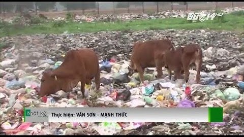 (VTC14)_Bừa bãi rác thải ở nông thôn