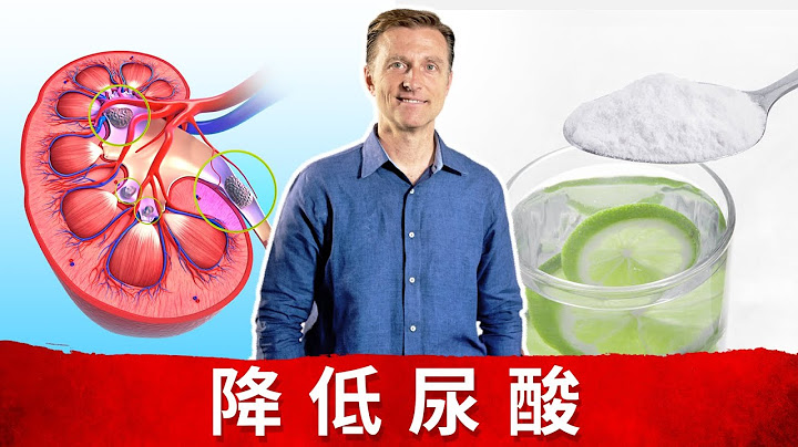 (简体)如何从肾脏排出尿酸？什么造成高尿酸？尿酸功用是什么？ - 天天要闻