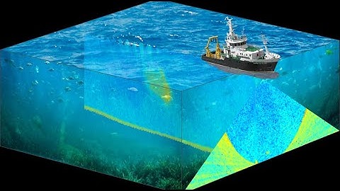 Webinar - Multibeam water column data: state-of-the-art & perspectives