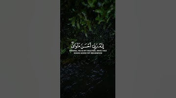 قال معاذ الله أين الخوف من الله الآن /حالات واتس اب تلاوة خاشعة