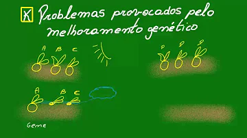 O que é a codominância?