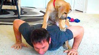 PUPPY PUSH UPS!