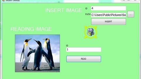 C# Insert and Read Images Part 3