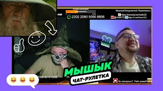 🔥😅Гендальф по имени Чебурашка #чатрулетка #мышык