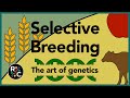 Mastering Selective Breeding and Mutations in Plants and Animals