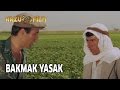 Kibar Feyzo Bakmak Yasak
