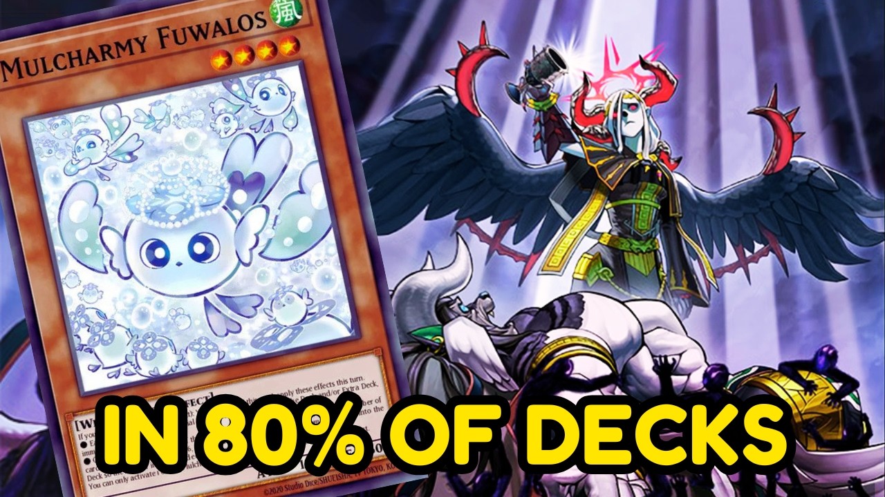 hane-hane yugioh card prices Yu-Gi-Oh! Legend of the Blue Eyes White Dragon Expansion (2002) Comple|  TradingCardSets.Com