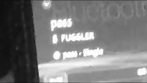 FUGGLER-pass [Official Music Video]