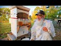 HIVE to JAR | A Flow Hive HONEY Harvest