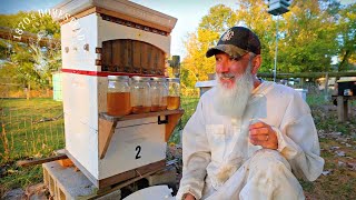 HIVE to JAR | A Flow Hive HONEY Harvest