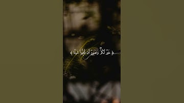 تلاوة خاشعة للشيخ ياسر الدوسري #قرآن #قران_كريم #المصحف #راحة_نفسية #quran