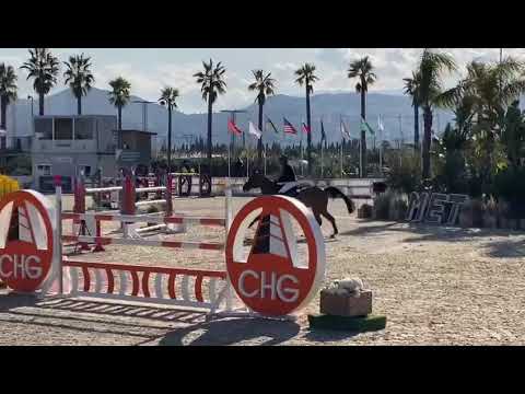 Nueva Epoca de Regor 145 LR CSI2** Oliva 1st place