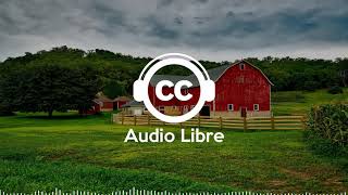 Musique Country Joyeuse Libre de Droits Gratuite qui Bouge | JR Tundra - Red Hot Son