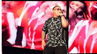 Daddy yankee concierto en República dominicana 2019