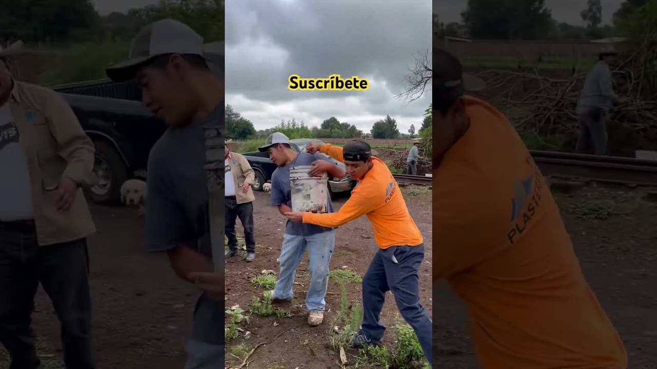 #FaenaComunitaria #naranjadetapia #TrabajoColectivo #PuebloUnido #OrgulloIndígena