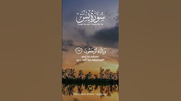 سورة يس SURAH YASEEN #عبدالولي_الاركاني #abdulwali_alarkani