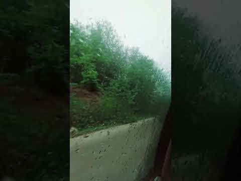 سبز باش و ببار از طراوت و زیبایی