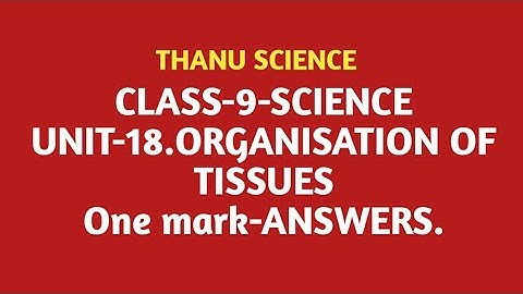 CLASS-9| SCIENCE| UNIT-18| ORGANISATION OF TISSUES| One mark| ANSWERS.
