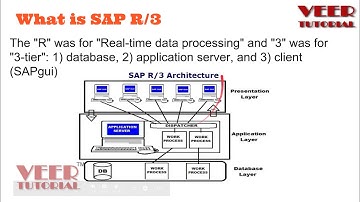Understand what is SAP R/3 Structure?