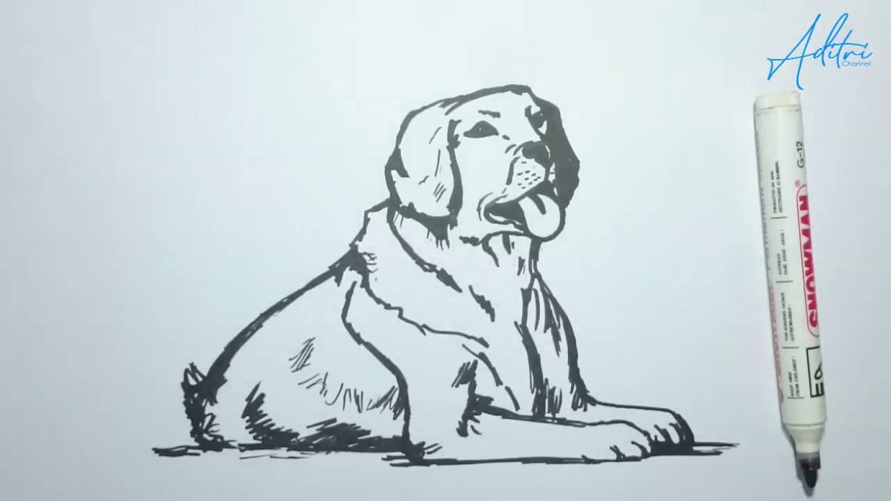 Cara Menggambar Anjing Cara Menggambar Anjing