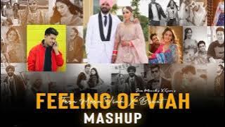 Feeling Of Viah - Mashup  | Jass Manak | Guri | @DlBeatz06  | Tera Mera Viah | Braat | Naah.