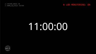 11 Hour Timer Black Screen | Temporizador 11 Horas Pantalla Negra
