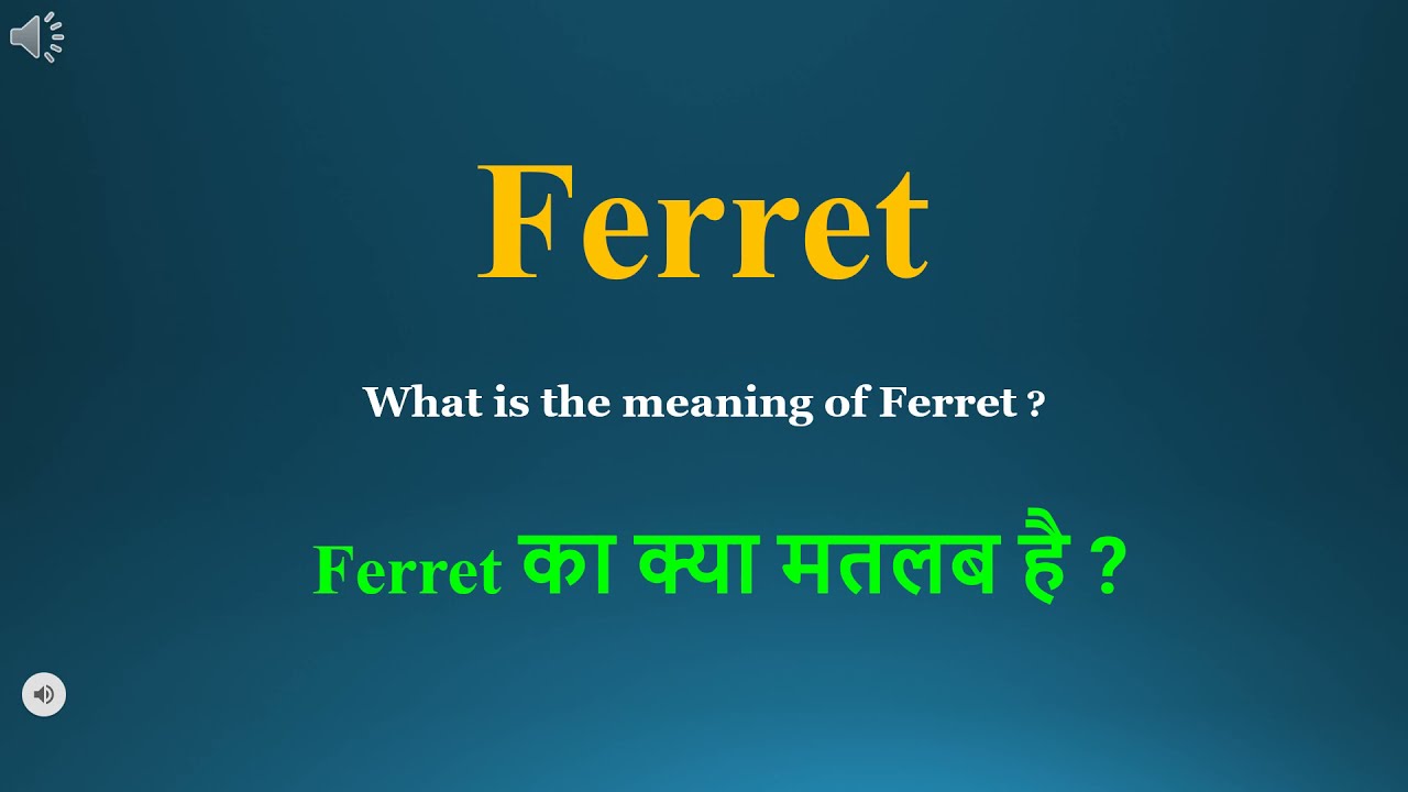 Ferret meaning in Hindi | Ferret ka kya matlab hota hai | daily use English  words - YouTube
