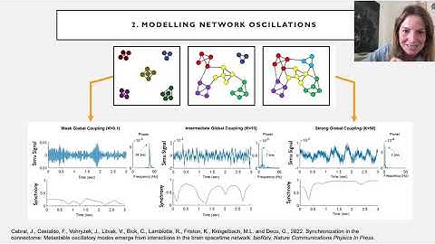 OHBM 2022 | 217 | Symposium | Joana Cabral | Large-scale models of oscillatory brain networks…