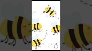 bee and bees #trending #video #amazing #foryou #best #challenge #english #education #learning