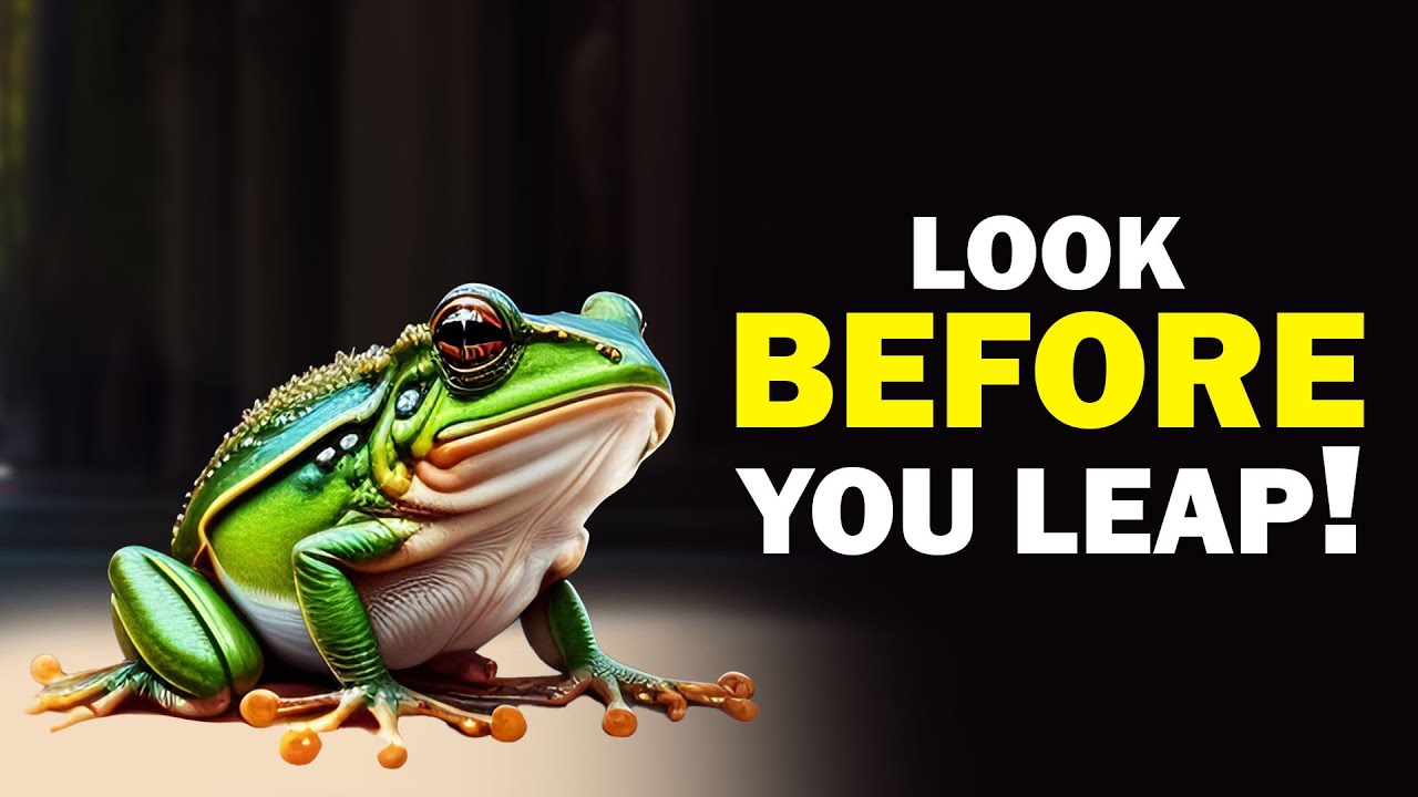 Look before you leap essay