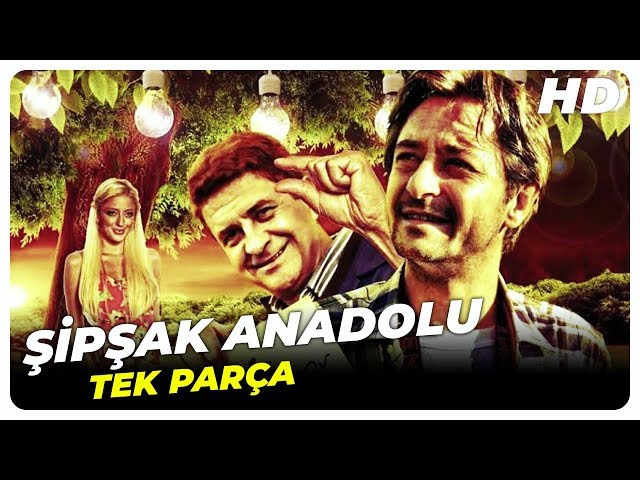 en etkili pozisyonlar bizi unutma izle