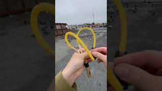 Pigeon Hunting With Slingshot