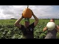 WHAT DO VEGETABLE FARMERS ACCOMPLISH IN A DAY?