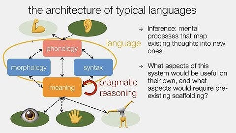 CARTA: The Evolution of Syntax and Pragmatics in a Gradualist Scenario with Eva Wittenberg
