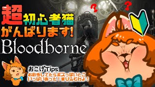 【Bloodborne】絶対ここボスいるじゃーん!!! ちょっと行ってみようぜ！(遺言)