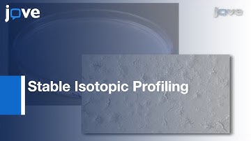 Stable Isotopic Profiling:Intermediary Metabolic Flux In Developing & Adult Stage l Protocol Preview