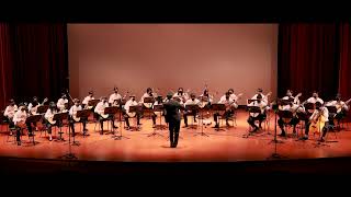 Daifuseikai 大不正解 - back number (NTU Guitar Ensemble)