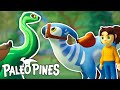 01 full game hype  paleo pines