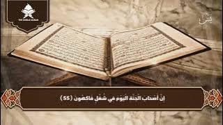 Surat YaSin || Reciter Tareq Mohammad  || Heart Touching Recitation  || The Nobel Quran