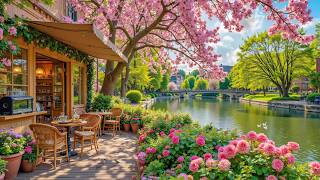 Positive Spring Piano 🦢💦 Soft Melodies At Spring Coffee Shop Ambience For Happy Mood & Relax screenshot 4