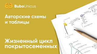 Жизненный цикл покрытосеменных | БИОЛОГИЯ ЕГЭ | Лина Клевер