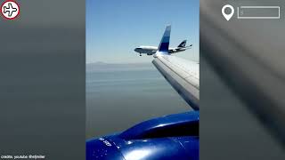 Bird Strikes and Engine Fires | Daily Aviation