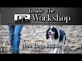 Every Dog Matures Differently! | Ep: #2
