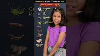 Names Of Insects In English Kids Videos For Kids Adi Keshari Adi Connection English