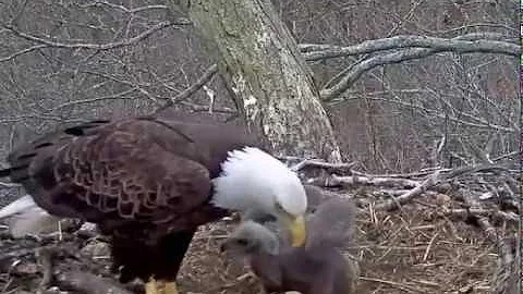 DHEC, River Goes After Nelson, 040118