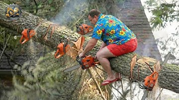 Idiots With Chainsaws: Tree Cutting Fails | Extreme Dangerous Logging Truck Fails #16