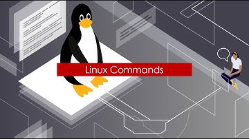 7- اساسيات لينكس الجزء الاول | دورة اختبار اختراق تطبيقات الويب