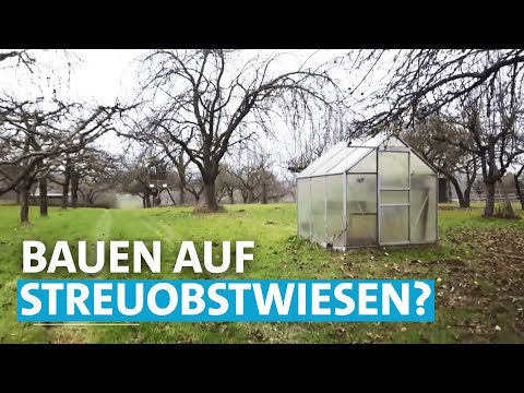 Video: Gartengesetze und -verordnungen - Gängige Gartengesetze - Gärtner-Know-how